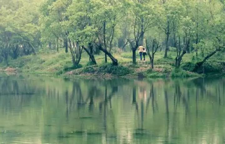 杭州西溪·素上藝術(shù)酒店，春天最美好的奇遇