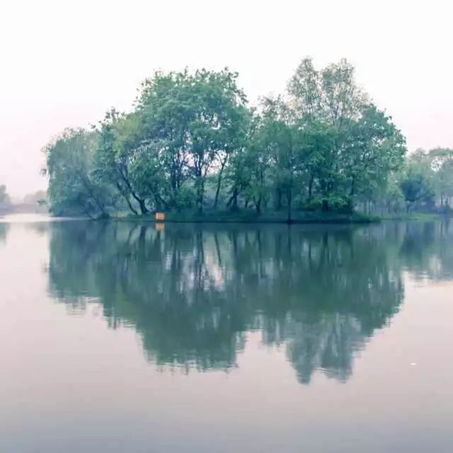 杭州西溪·素上藝術(shù)酒店，春天最美好的奇遇