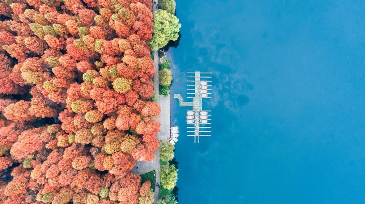 杭州西溪·素上藝術(shù)酒店，春天最美好的奇遇