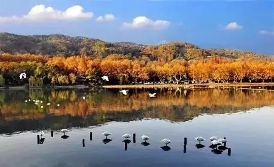 杭州西溪·素上藝術(shù)酒店，春天最美好的奇遇