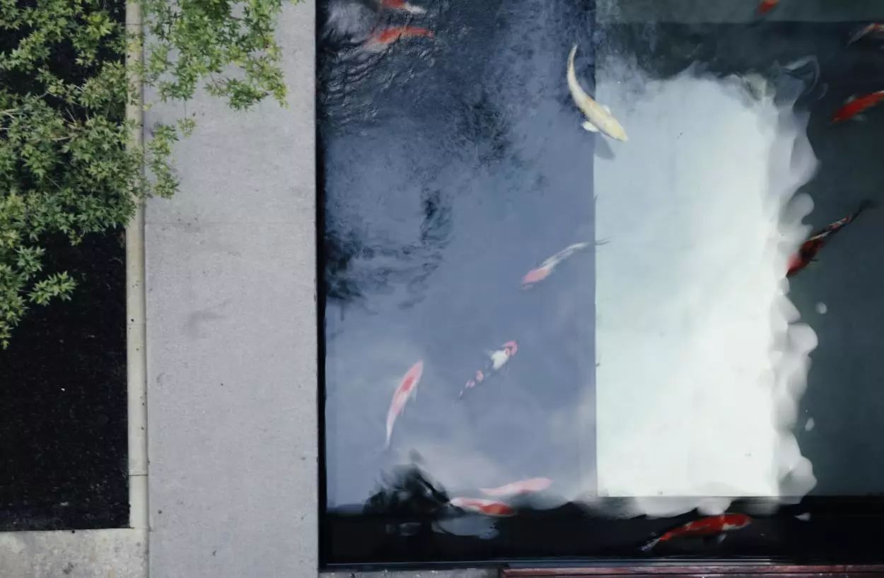 杭州西溪·素上藝術(shù)酒店，春天最美好的奇遇