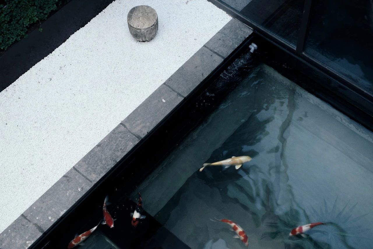 杭州西溪·素上藝術(shù)酒店，春天最美好的奇遇