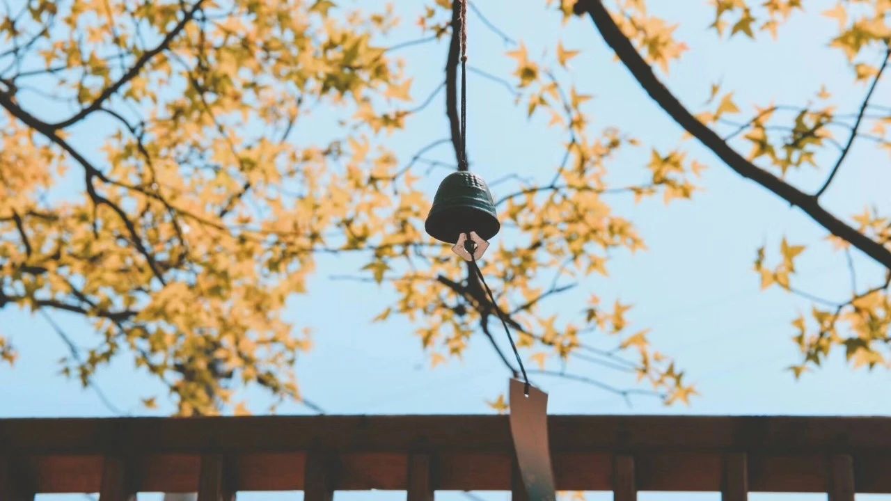 青田坐忘閣·藏書(shū)閣民宿，找回初心尋找回家的路