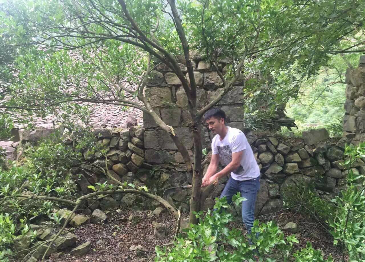 青田坐忘閣·藏書閣民宿，找回初心尋找回家的路