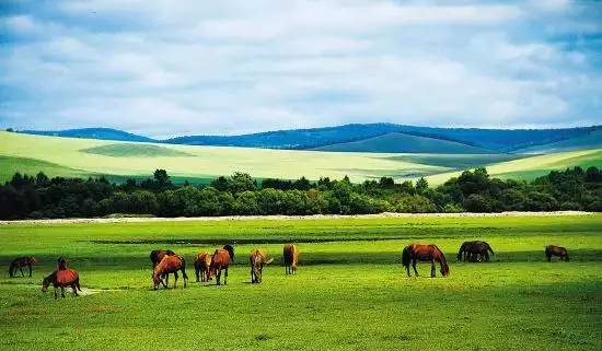 如詩(shī)如畫(huà)的草原意境，唯美風(fēng)景圖片！