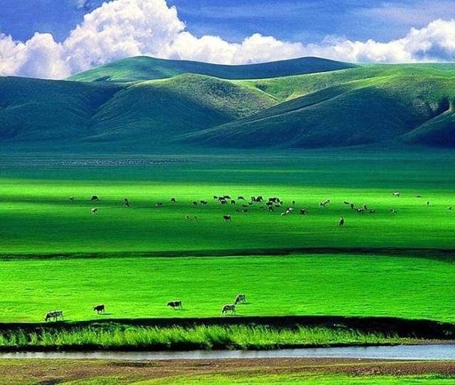 如詩(shī)如畫(huà)的草原意境，唯美風(fēng)景圖片！