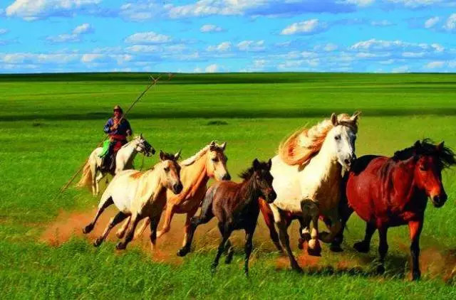 如詩(shī)如畫(huà)的草原意境，唯美風(fēng)景圖片！