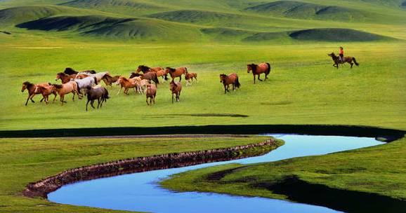 如詩如畫的草原意境，唯美風(fēng)景圖片！
