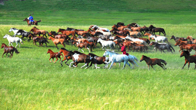 如詩如畫的草原意境，唯美風(fēng)景圖片！