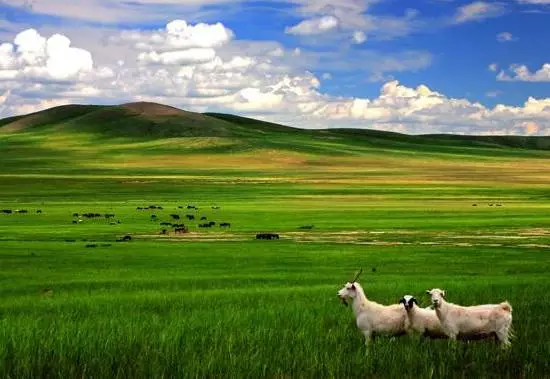 如詩如畫的草原意境，唯美風景圖片！