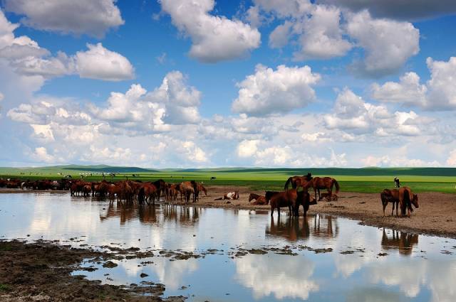 如詩如畫的草原意境，唯美風(fēng)景圖片！