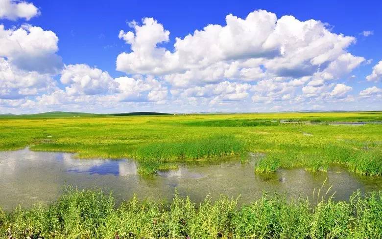 如詩如畫的草原意境，唯美風景圖片！