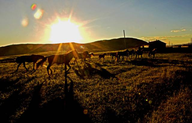 如詩如畫的草原意境，唯美風(fēng)景圖片！