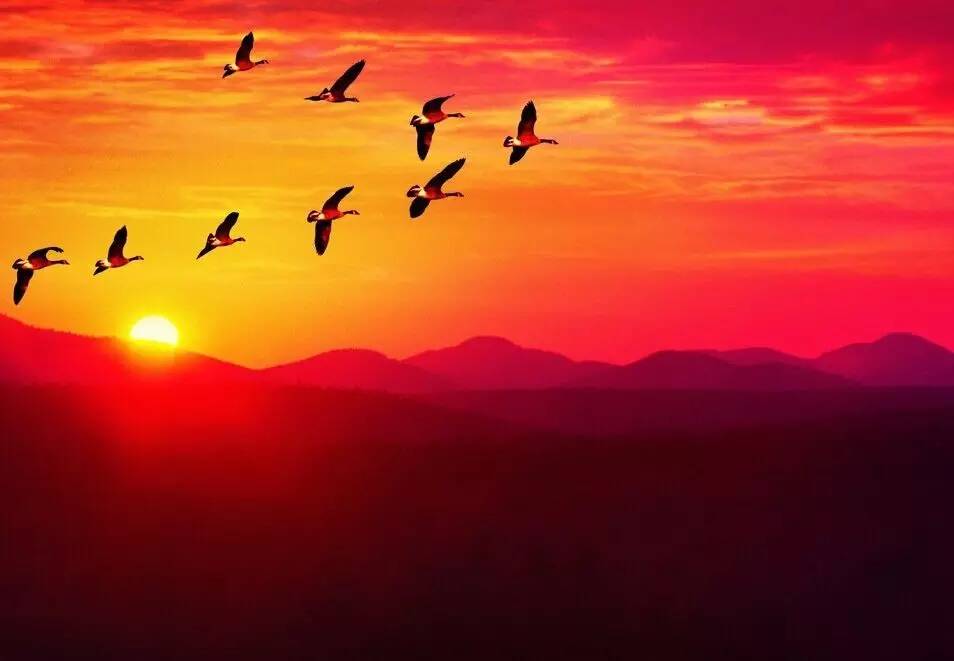 如詩(shī)如畫(huà)的草原意境，唯美風(fēng)景圖片！