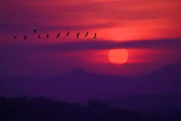 如詩(shī)如畫(huà)的草原意境，唯美風(fēng)景圖片！