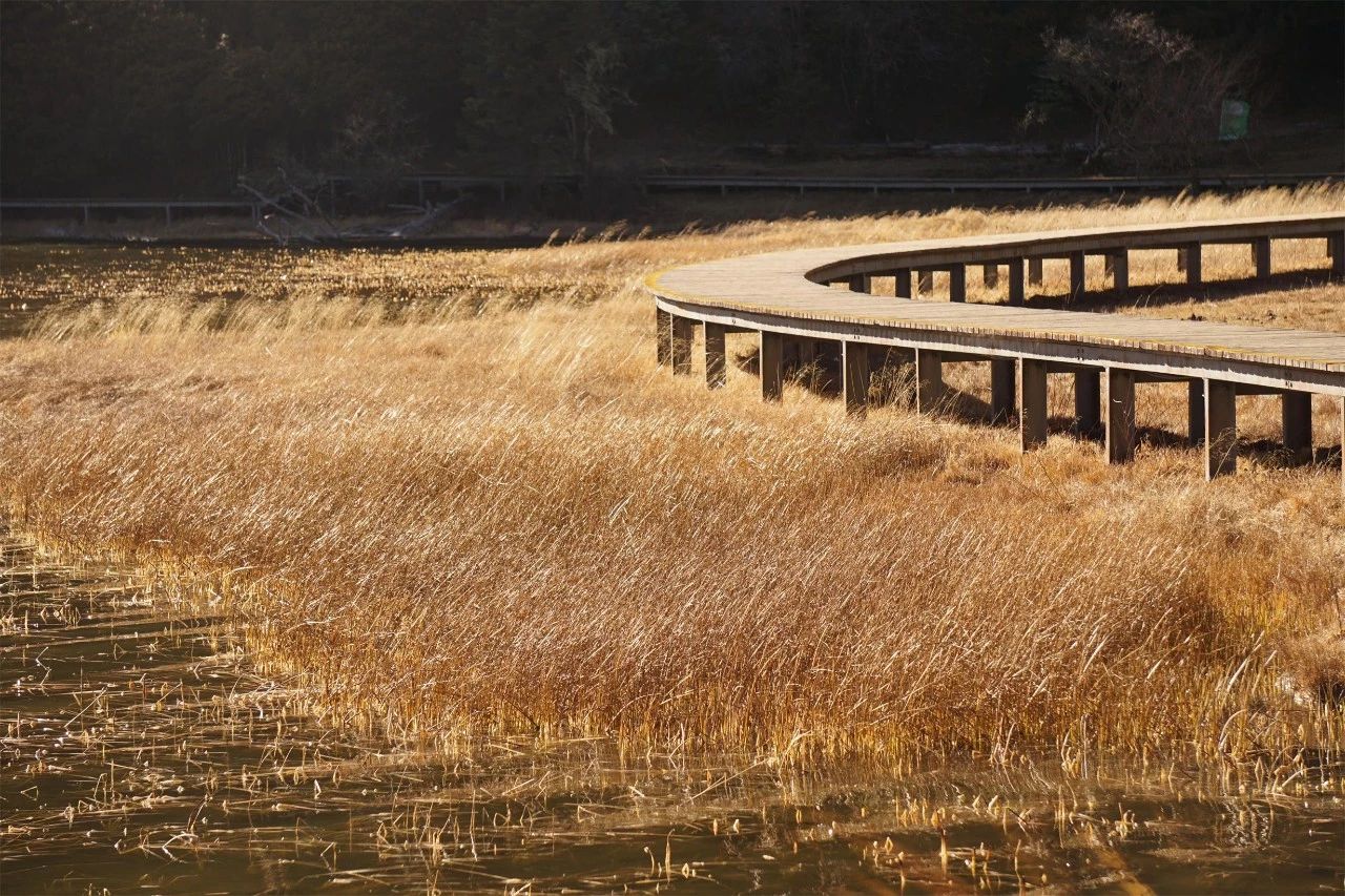 香格里拉·桔子水晶酒店，堅(jiān)持內(nèi)心最重要