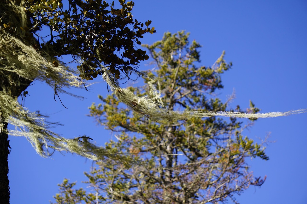 香格里拉·桔子水晶酒店，堅(jiān)持內(nèi)心最重要