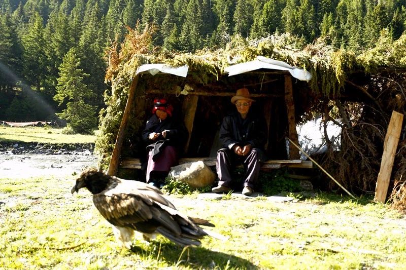 光和云朵·雪寶頂，喂馬劈柴看盡四季繁華