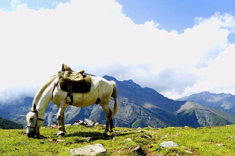 光和云朵·雪寶頂，喂馬劈柴看盡四季繁華