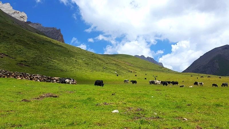 光和云朵·雪寶頂，喂馬劈柴看盡四季繁華
