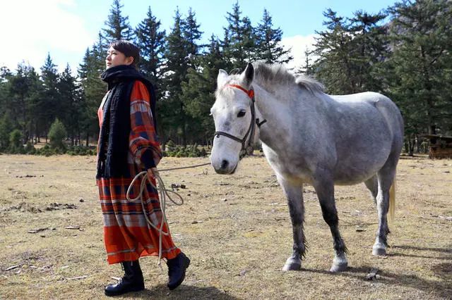 光和云朵·雪寶頂，喂馬劈柴看盡四季繁華