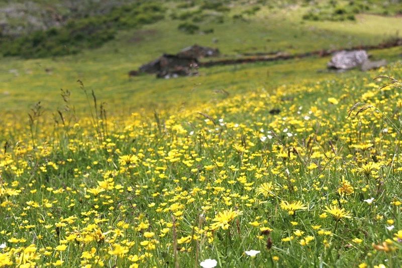 光和云朵·雪寶頂，喂馬劈柴看盡四季繁華
