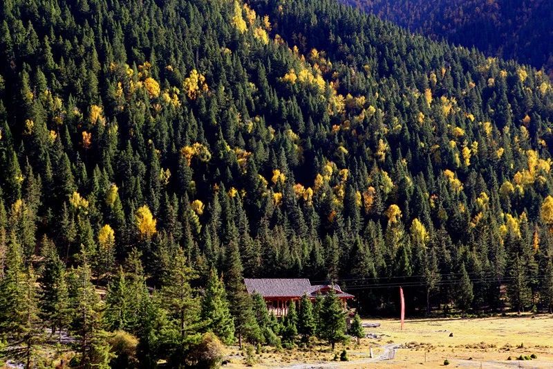 光和云朵·雪寶頂，喂馬劈柴看盡四季繁華