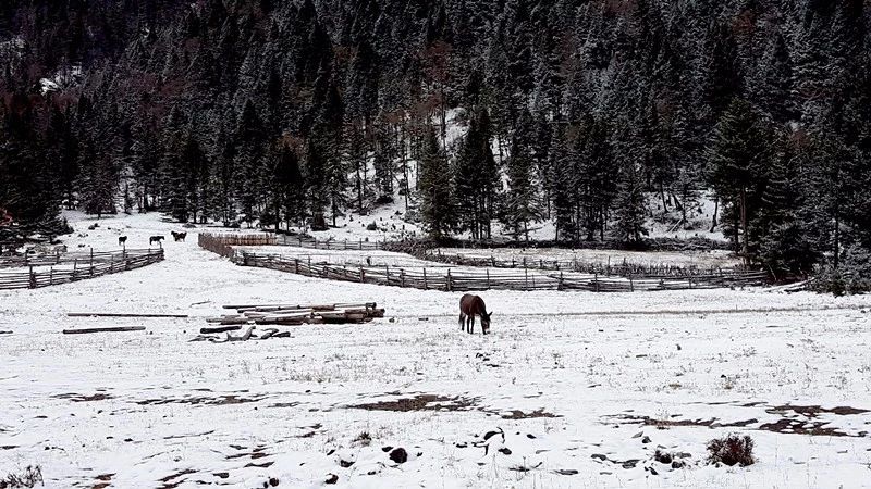 光和云朵·雪寶頂，喂馬劈柴看盡四季繁華