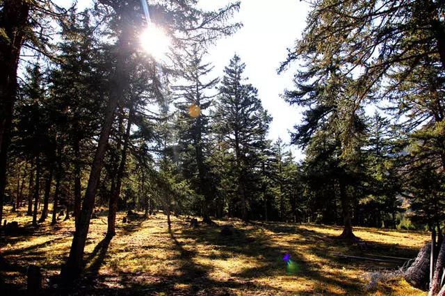 光和云朵·雪寶頂，喂馬劈柴看盡四季繁華