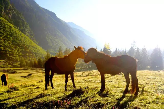 光和云朵·雪寶頂，喂馬劈柴看盡四季繁華