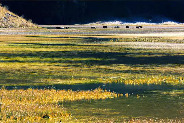 光和云朵·雪寶頂，喂馬劈柴看盡四季繁華
