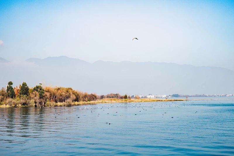 莫干山·梵谷，回歸自然的日子才是最難得