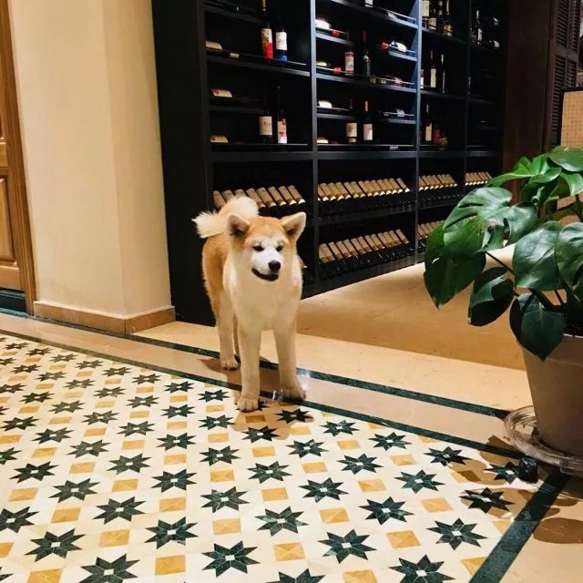 莫干山·梵谷，回歸自然的日子才是最難得