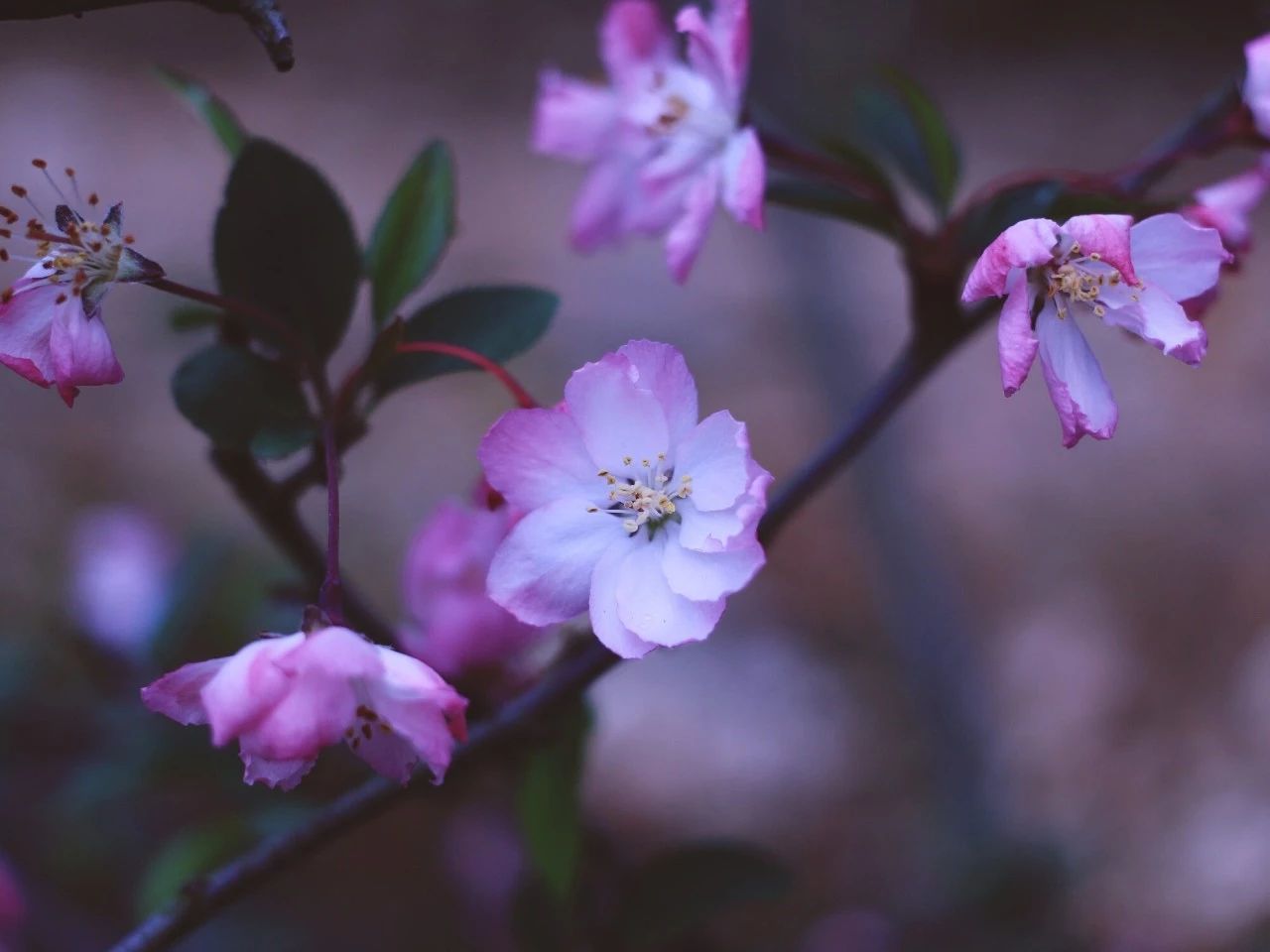 莫干山·梵谷，回歸自然的日子才是最難得