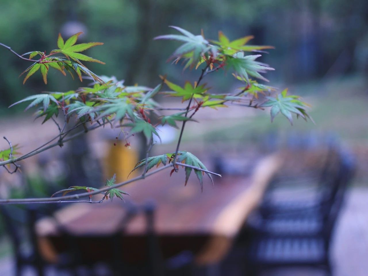 莫干山·梵谷，回歸自然的日子才是最難得