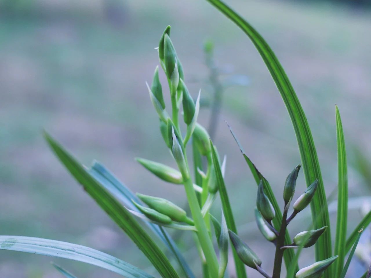 莫干山·梵谷，回歸自然的日子才是最難得