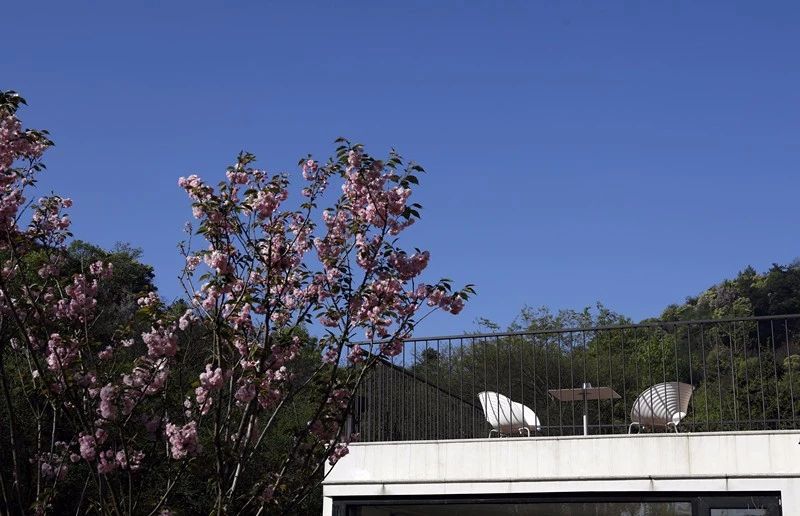 莫干山·梵谷，回歸自然的日子才是最難得