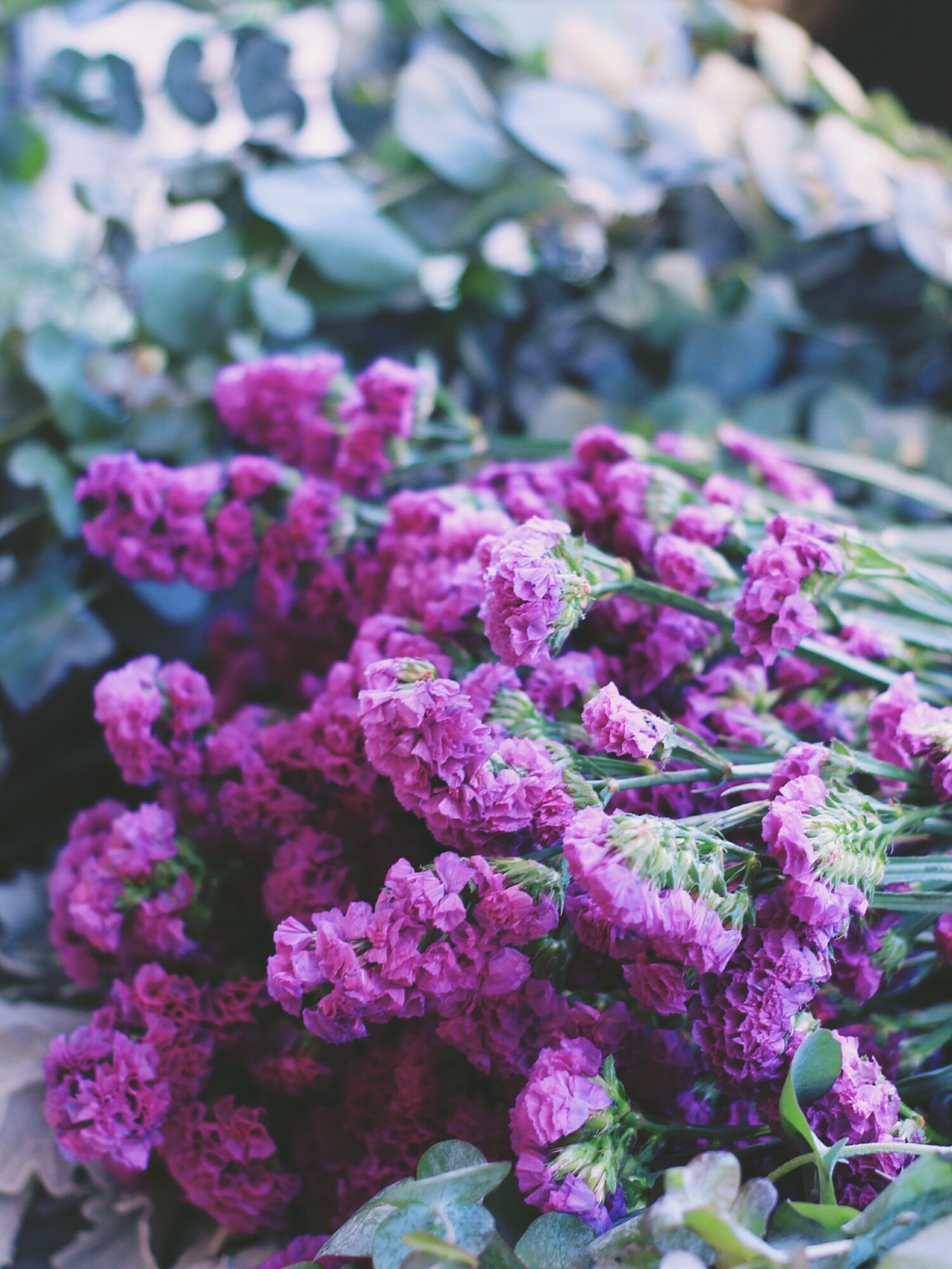 莫干山·梵谷，回歸自然的日子才是最難得