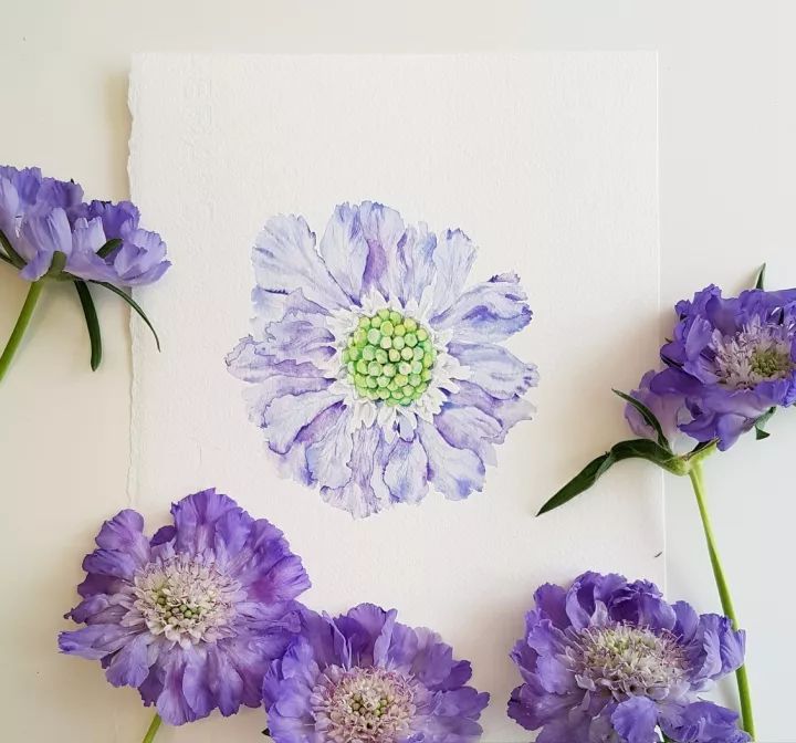 四季水彩花卉插畫，驚艷唯美!