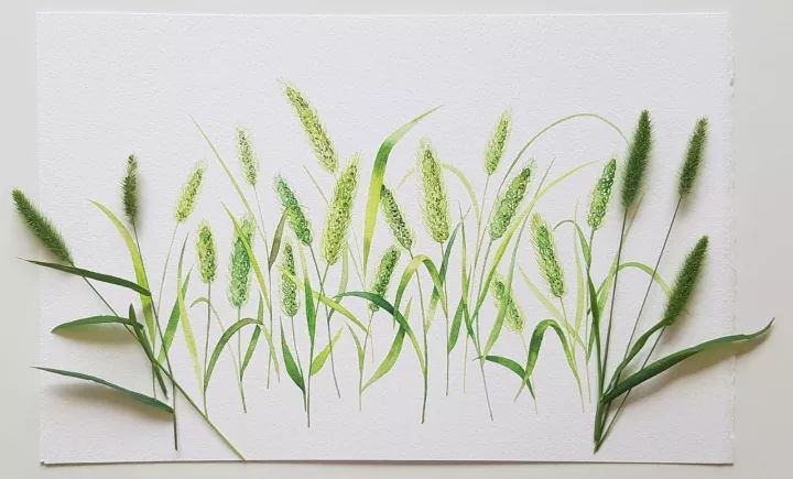 四季水彩花卉插畫，驚艷唯美!