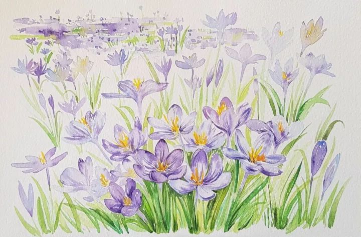 四季水彩花卉插畫，驚艷唯美!