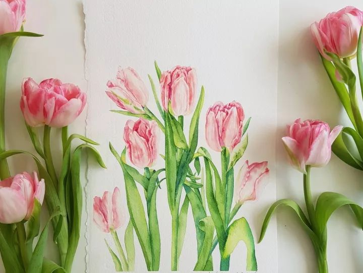 四季水彩花卉插畫，驚艷唯美!