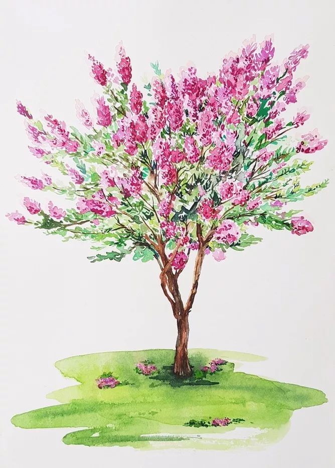 四季水彩花卉插畫，驚艷唯美!