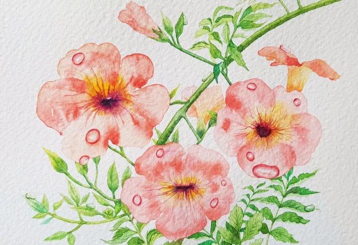 四季水彩花卉插畫，驚艷唯美!