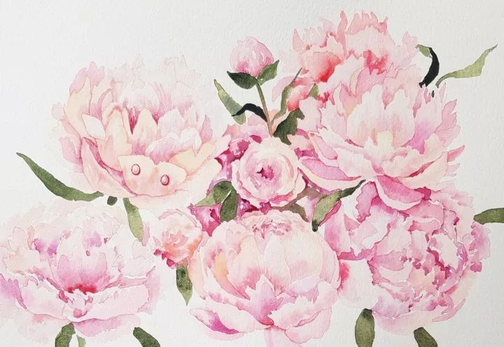 四季水彩花卉插畫，驚艷唯美!