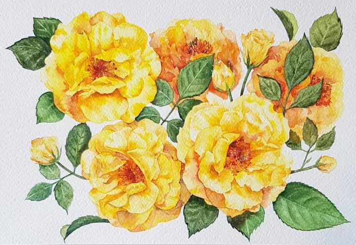 四季水彩花卉插畫，驚艷唯美!