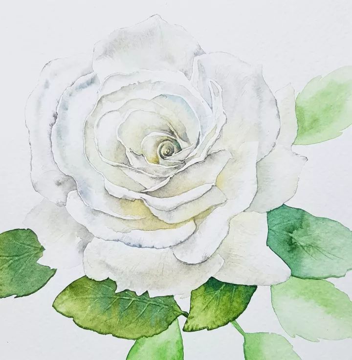 四季水彩花卉插畫，驚艷唯美!