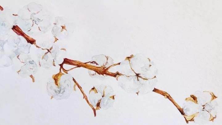 四季水彩花卉插畫(huà)，驚艷唯美!