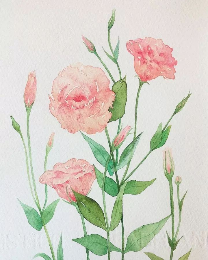 四季水彩花卉插畫(huà)，驚艷唯美!