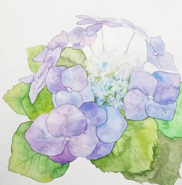 四季水彩花卉插畫(huà)，驚艷唯美!